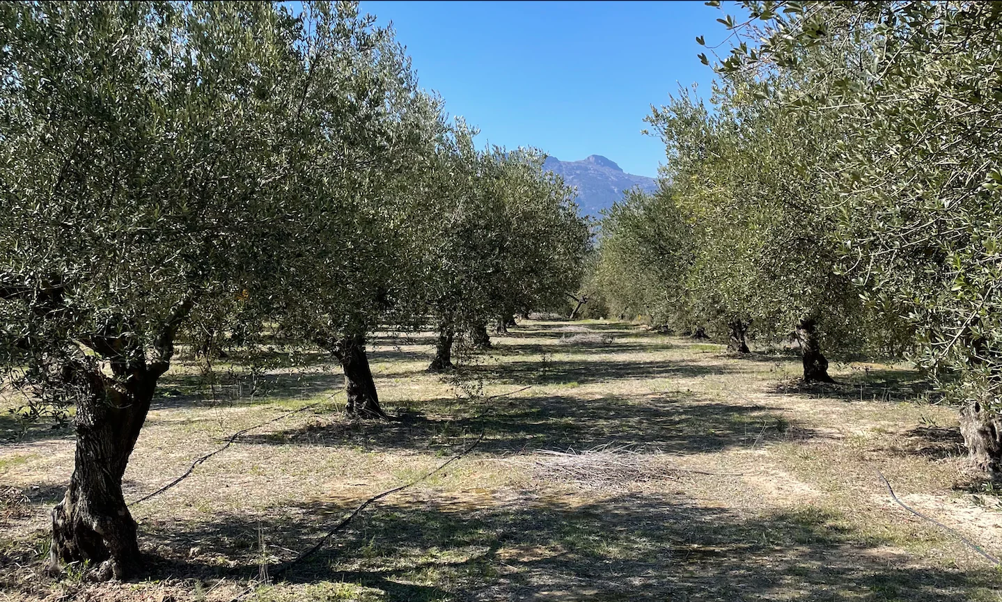 Captura_de_pantalla_2023-04-26_a_las_15.23.11_56694d77-c58b-453a-a55f-37f95dce7bb8_1439x